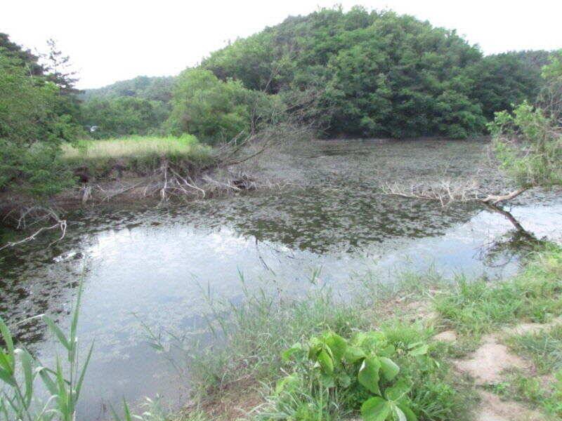 5월 마지막주 조황소식입니다 (조황조행기 - 특파원조황)