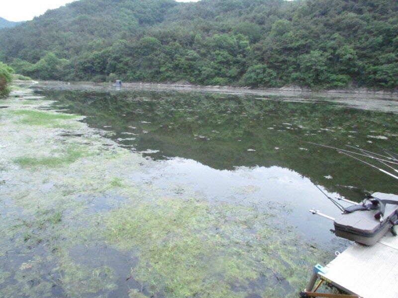 6월 첫주조황 입니다 (조황조행기 - 특파원조황)