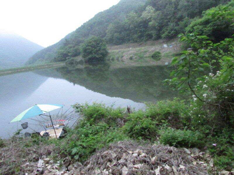 5월 4째주 조황입니다 (조황조행기 - 특파원조황)