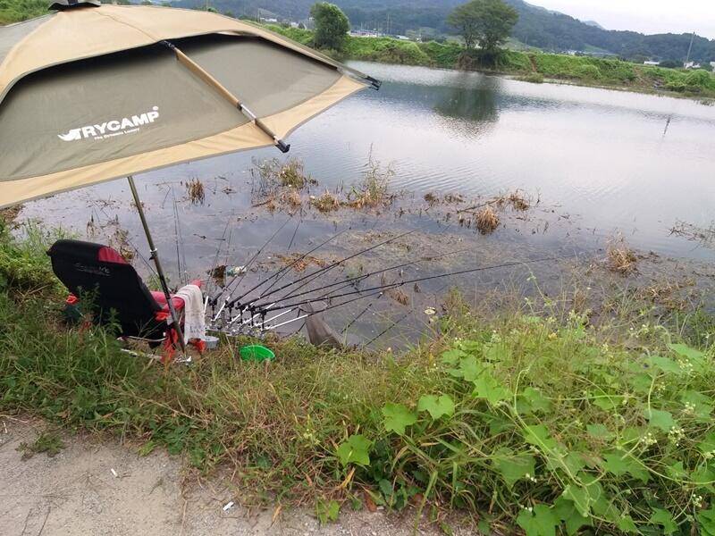 고삼지 노지터지고 또 터지고 (조황조행기 - 특파원조황)