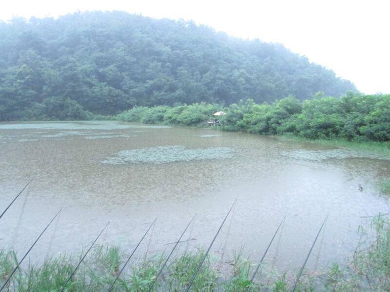 7월 마지막 주와 8월 첫주가 시작 되네요 (조황조행기 - 특파원조황)