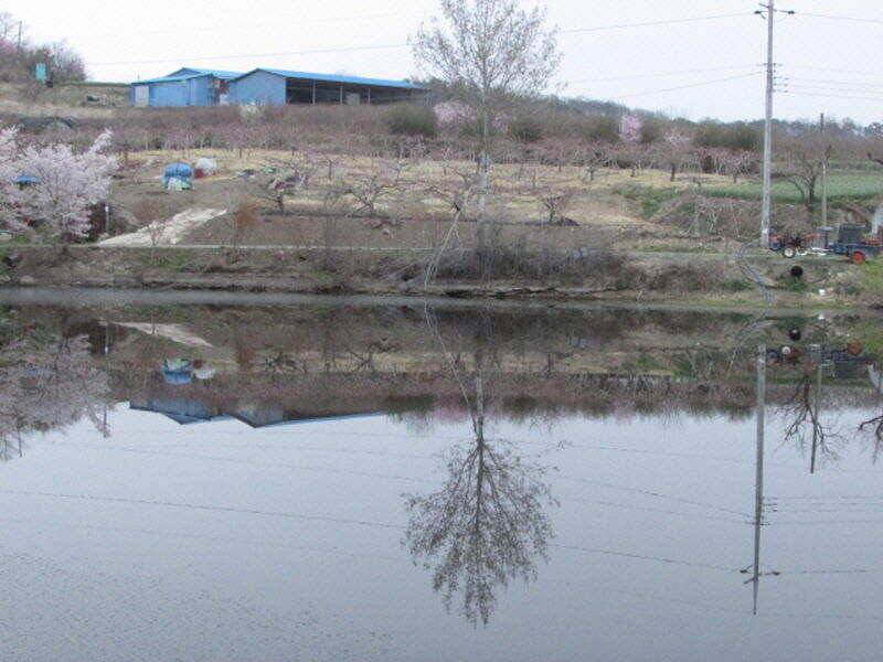 4월 2째주 조황입니다 (조황조행기 - 특파원조황)