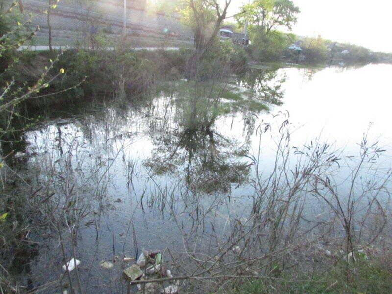 5월 첫주 조황 소식입니다 (조황조행기 - 특파원조황)