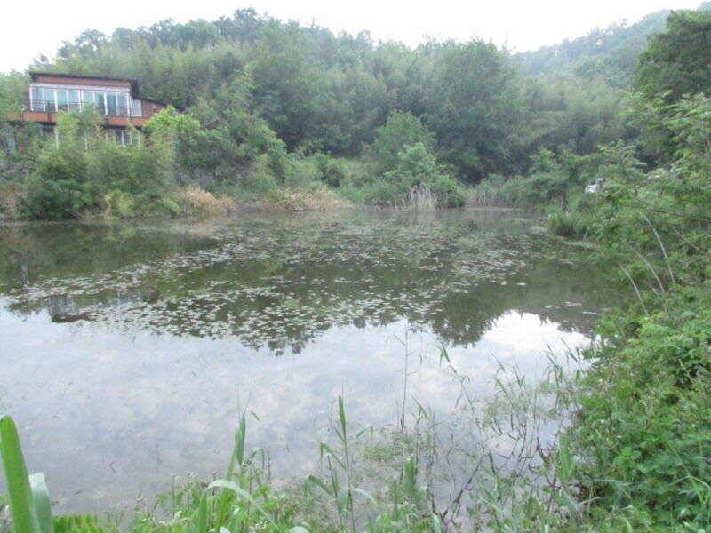 5월 마지막주 조황소식입니다 (조황조행기 - 특파원조황)