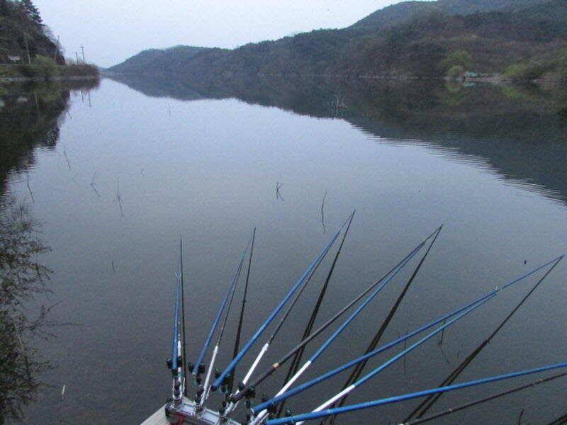 4월 2째주 조황입니다 (조황조행기 - 특파원조황)