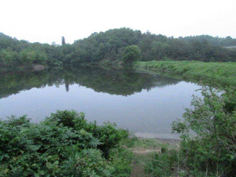 5월 4째주 조황입니다 (조황조행기 - 특파원조황)