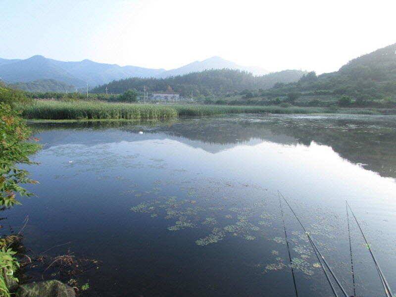 6월 4째주 조황입니다 (조황조행기 - 특파원조황)