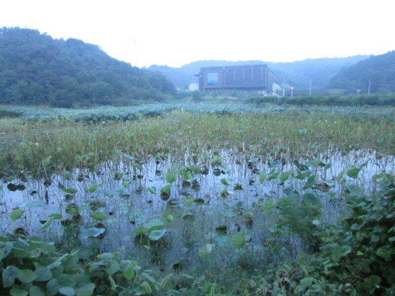 9월 첫째주 조황입니다 (조황조행기 - 특파원조황)