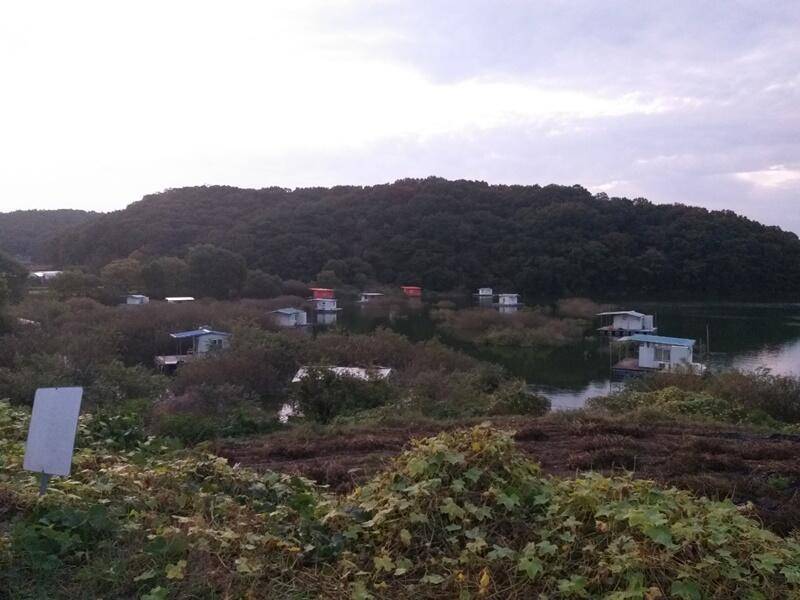고삼지수문방류 중단후 모습 (조황조행기 - 특파원조황)