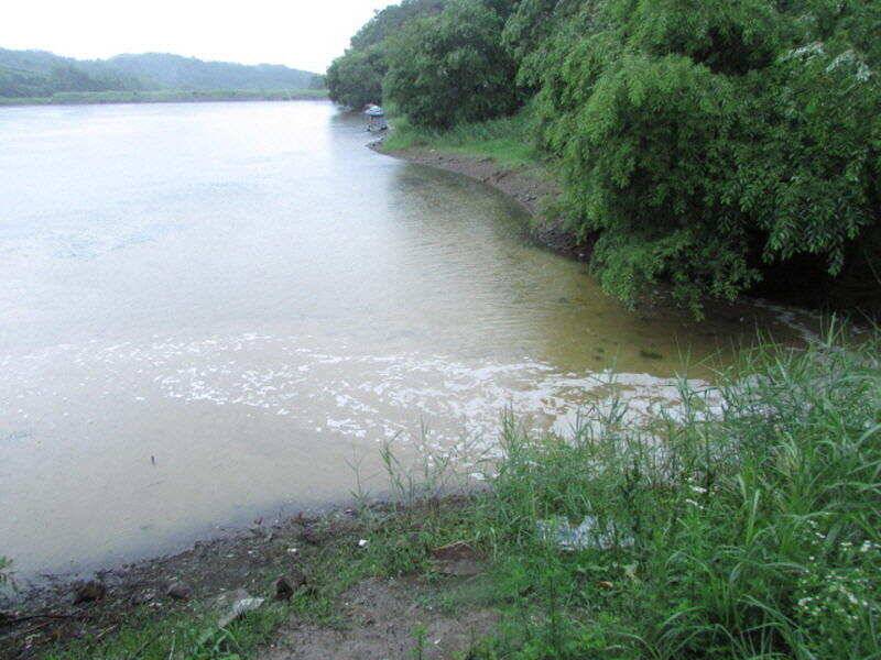 6월 3째주 조황입니다 (조황조행기 - 특파원조황)