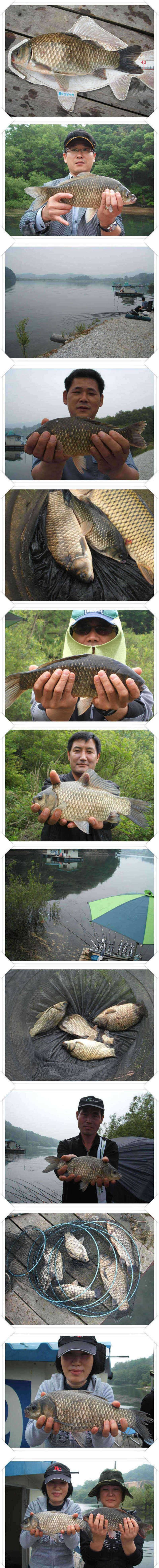토요일 4짜의 모습 (조황조행기 - 특파원조황)