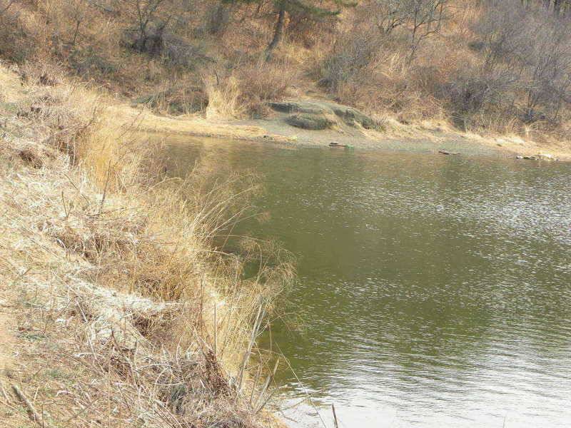 329 삼천지설못 금년 6호째의 월척을 (조황조행기 - 특파원조황)