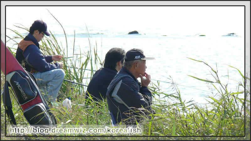 펑 펑 쏟아지네요 (조황조행기 - 특파원조황)