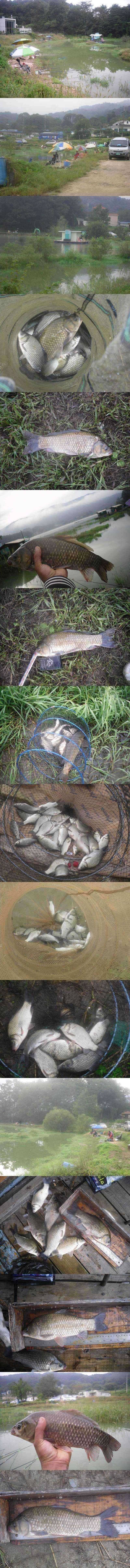두창지 새우에 올라온 4짜 (조황조행기 - 특파원조황)