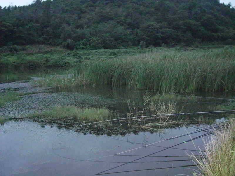고흥권 조황소식 (조황조행기 - 특파원조황)