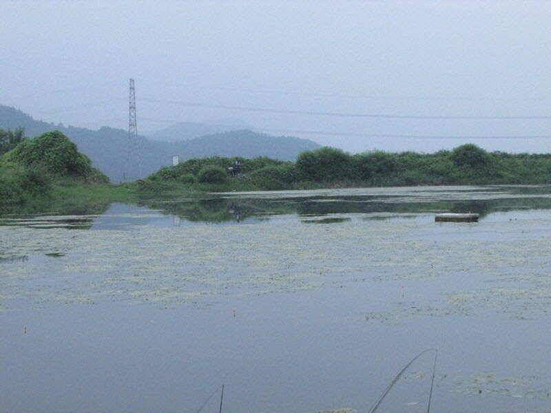 7월 3주차 조황입니다 (조황조행기 - 특파원조황)