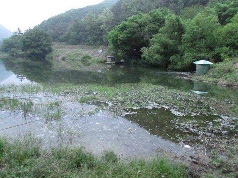 5월 4째주 조황입니다 (조황조행기 - 특파원조황)