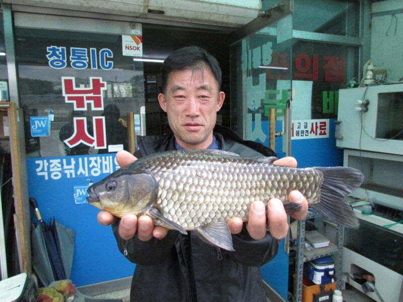 5월 첫주 조황 입니다 (조황조행기 - 특파원조황)