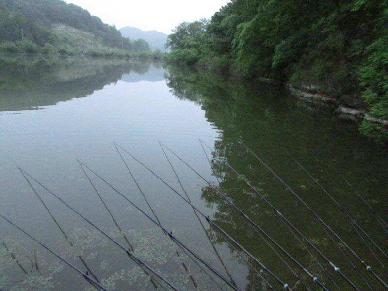 5월 4째주 조황입니다 (조황조행기 - 특파원조황)