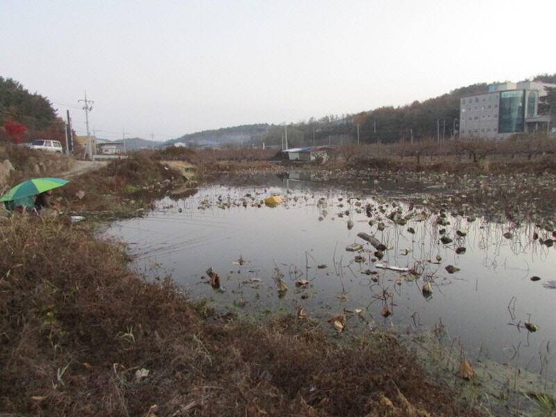 11월 3째주 조황입니다 (조황조행기 - 특파원조황)