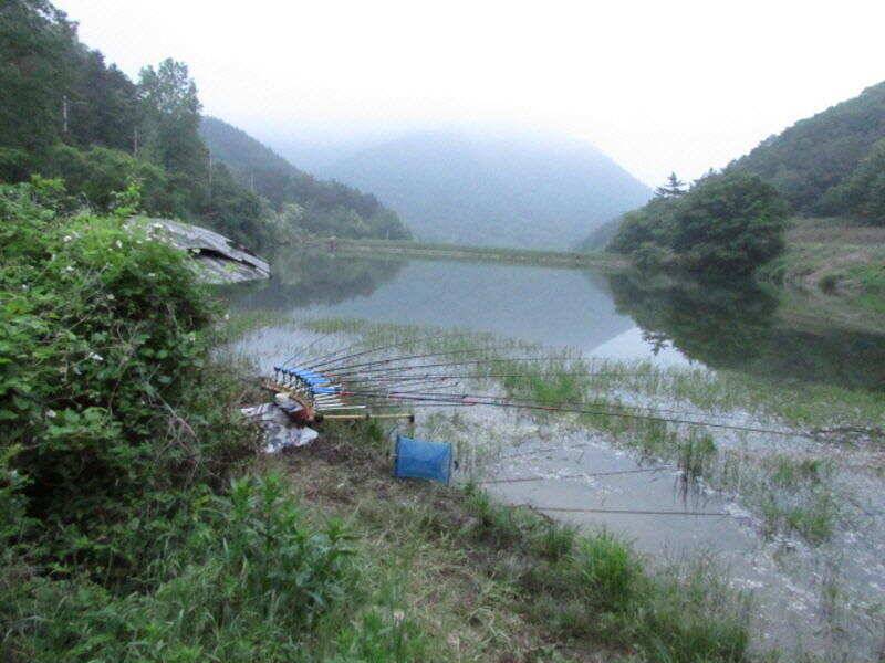 5월 4째주 조황입니다 (조황조행기 - 특파원조황)