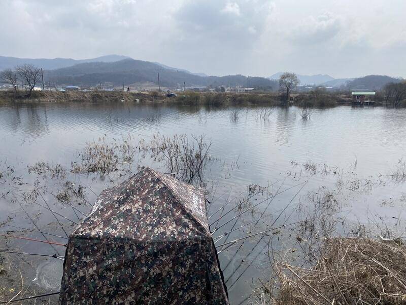 고삼지 노지 대물들 (조황조행기 - 특파원조황)