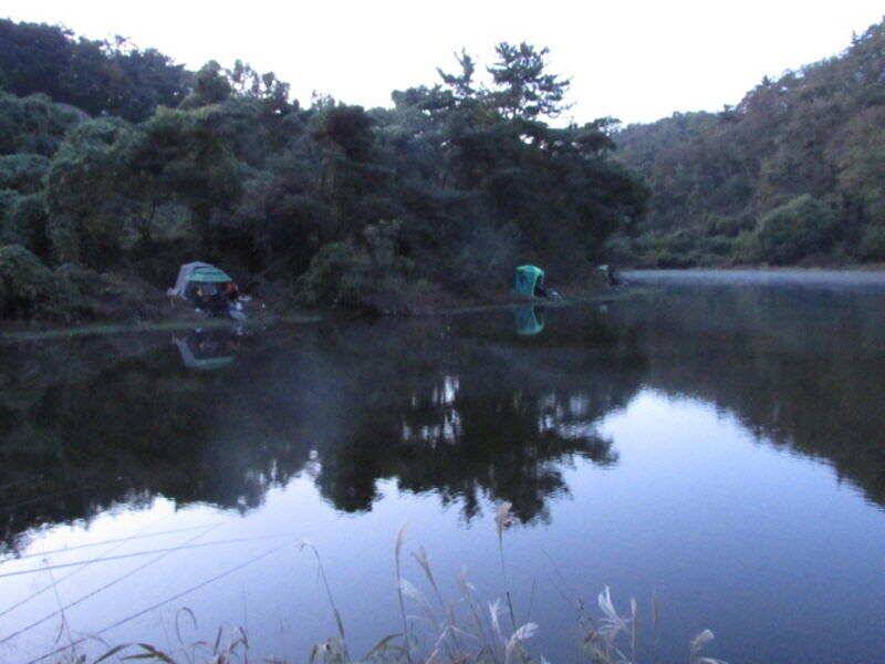 11월 첫주 조황소식입니다 (조황조행기 - 특파원조황)