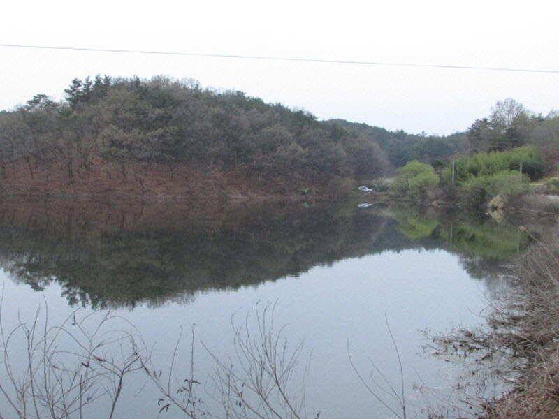 4월 2째주 조황입니다 (조황조행기 - 특파원조황)
