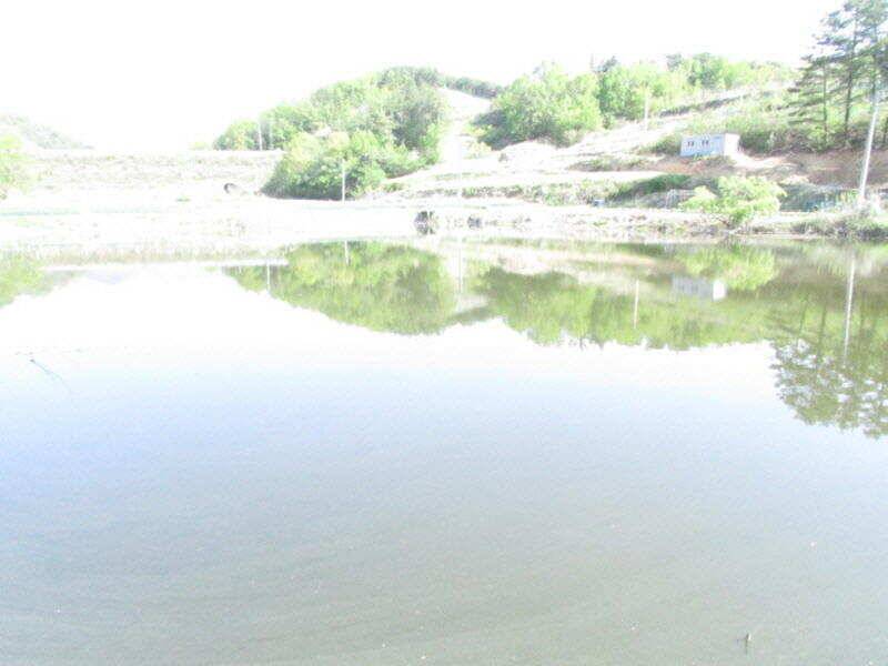 5월 첫주 조황 소식입니다 (조황조행기 - 특파원조황)