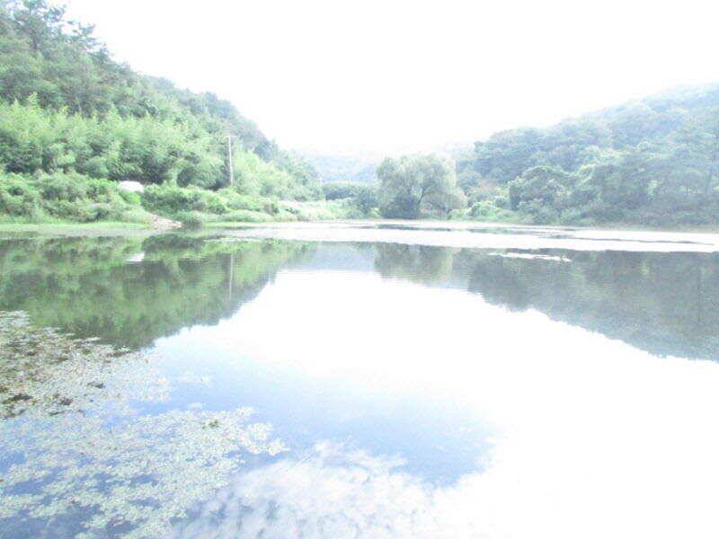 9월 첫째주 조황입니다 (조황조행기 - 특파원조황)