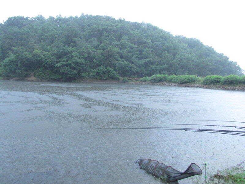 6월 3째주 조황입니다 (조황조행기 - 특파원조황)
