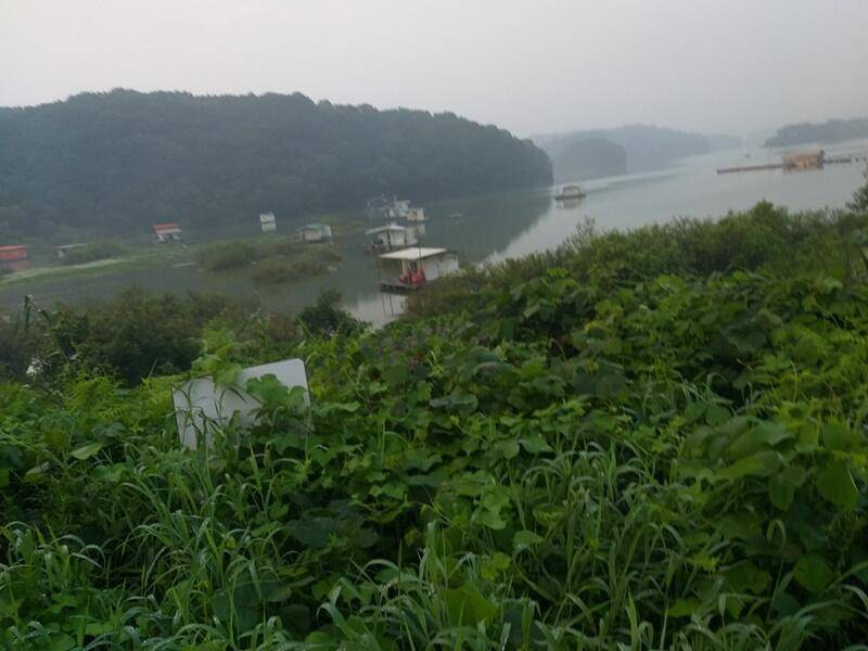 고삼지 노지 대물들 나옵니다 (조황조행기 - 특파원조황)