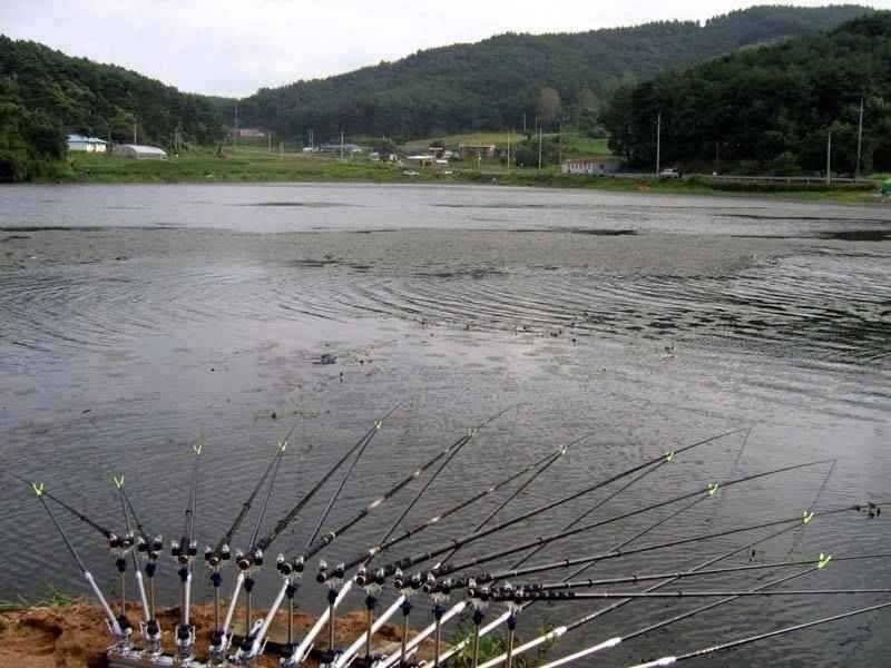 서태안권 태안 창촌지 대호지 (조황조행기 - 특파원조황)