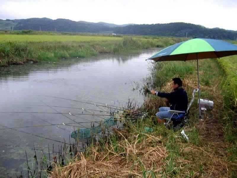 서태안권 태안 창촌지 대호지 (조황조행기 - 특파원조황)