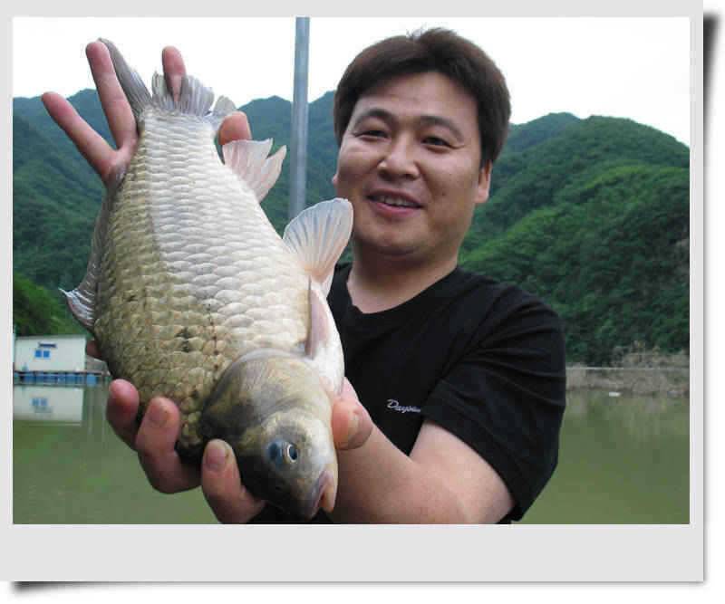 충주호 명서낚시터 명성이 시작되었다 (조황조행기 - 특파원조황)