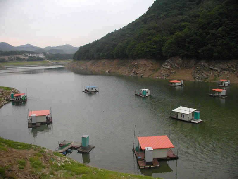 충주호 하천낚시터 조황 소식입니다 (조황조행기 - 특파원조황)