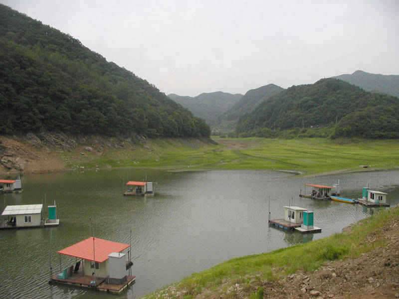 충주호 하천낚시터 조황 소식입니다 (조황조행기 - 특파원조황)