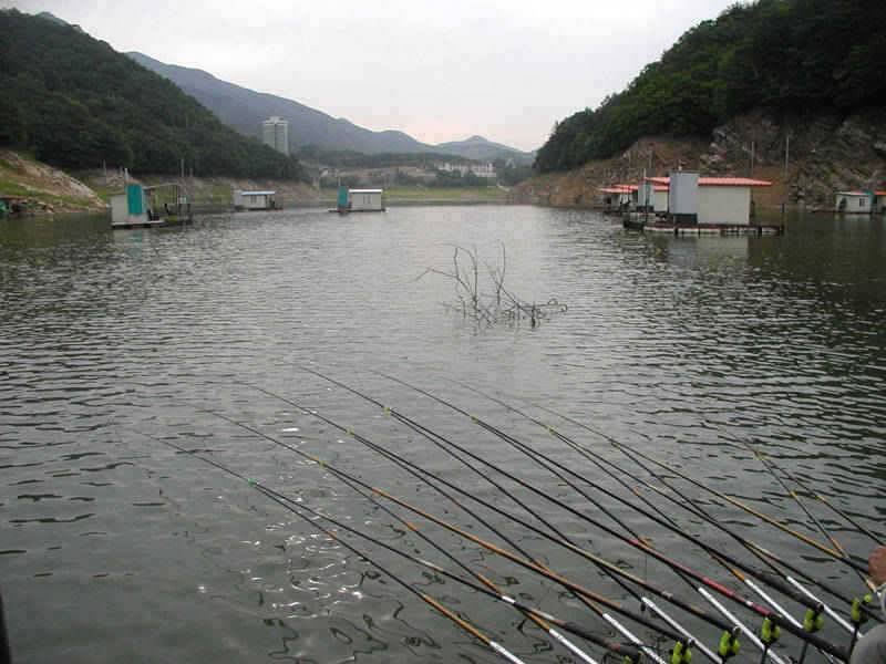 충주호 하천낚시터 조황 소식입니다 (조황조행기 - 특파원조황)
