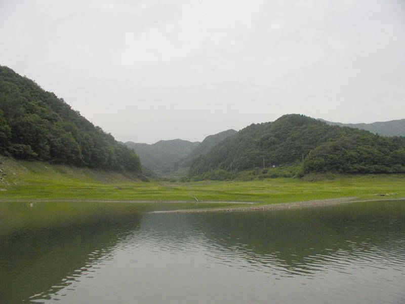 충주호 하천낚시터 조황 소식입니다 (조황조행기 - 특파원조황)