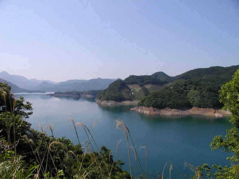 충주호 일요일 조황소식입니다 (조황조행기 - 특파원조황)