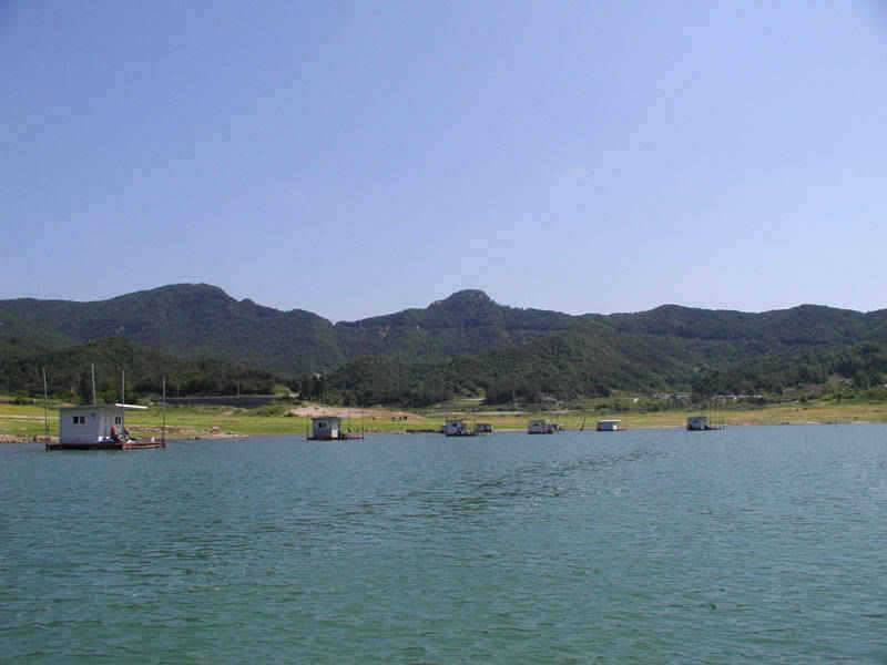 충주호 일요일 조황소식입니다 (조황조행기 - 특파원조황)