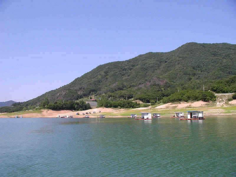 충주호 일요일 조황소식입니다 (조황조행기 - 특파원조황)