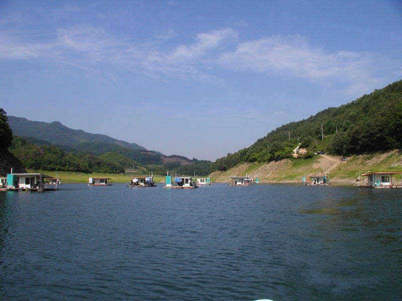 충주호 일요일 조황소식입니다 (조황조행기 - 특파원조황)
