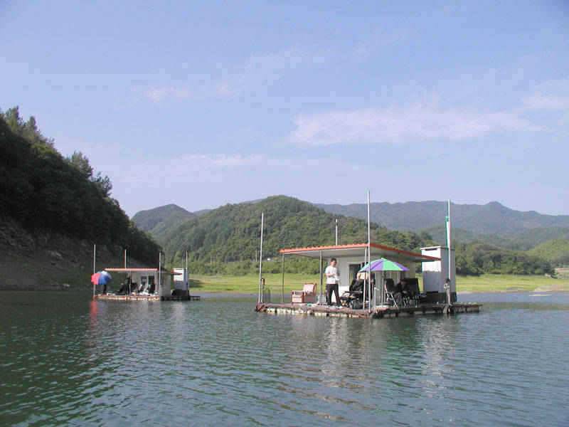 충주호 일요일 조황소식입니다 (조황조행기 - 특파원조황)
