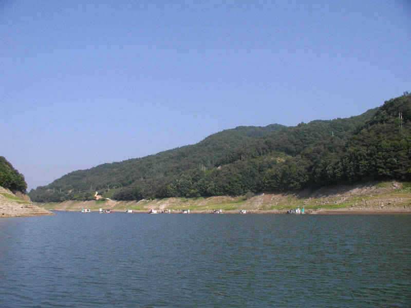 충주호 주말 붕어낚시 조황소식입니다 (조황조행기 - 특파원조황)