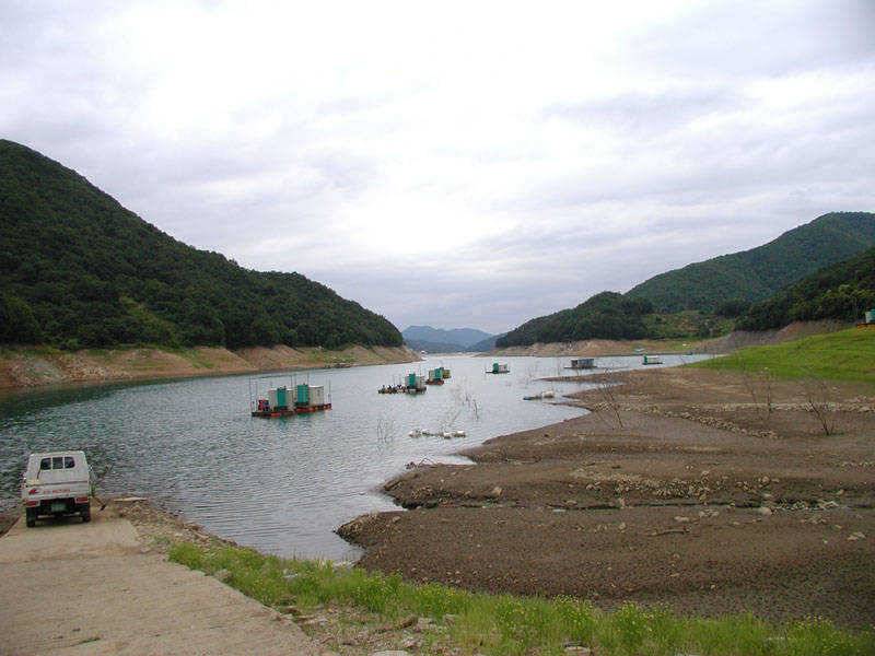 충주호 주말 붕어낚시 조황소식입니다 (조황조행기 - 특파원조황)
