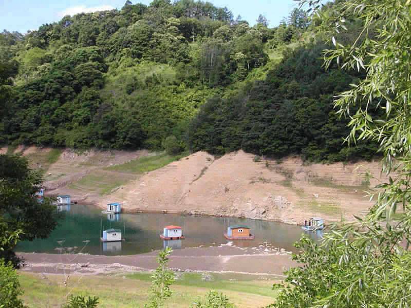 충주호 주말 붕어낚시 조황소식입니다 (조황조행기 - 특파원조황)
