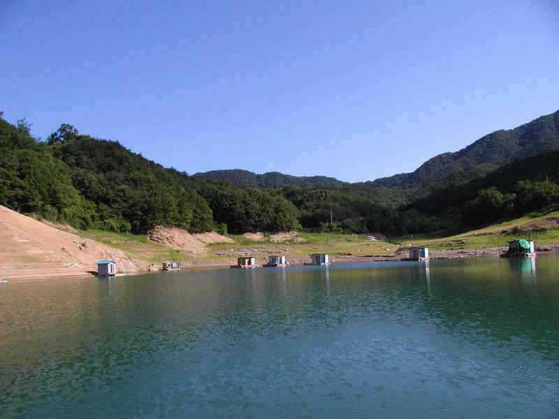 충주호 주말 붕어낚시 조황소식입니다 (조황조행기 - 특파원조황)