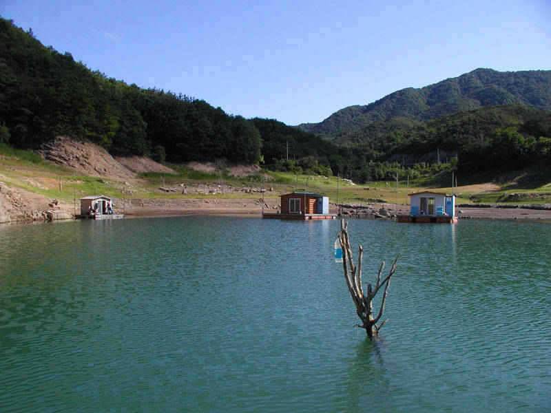 충주호 주말 붕어낚시 조황소식입니다 (조황조행기 - 특파원조황)