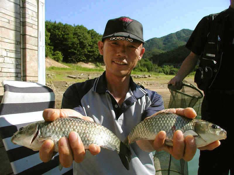 충주호 주말 붕어낚시 조황소식입니다 (조황조행기 - 특파원조황)